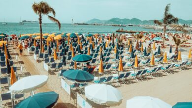 Nano Trips to Cannes